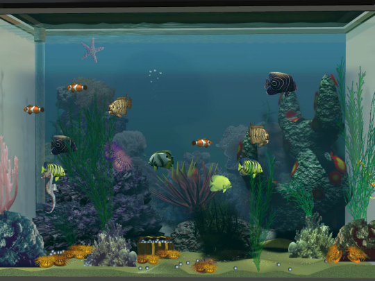 Moving fish tank screensaver for mac pro